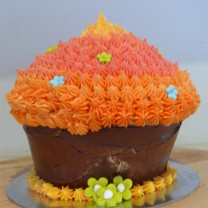 Giant Cupcake (D)